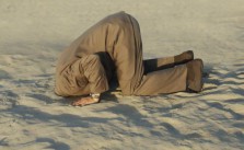 Nicht den Kopf in den Sand - Stressmanagement hilft